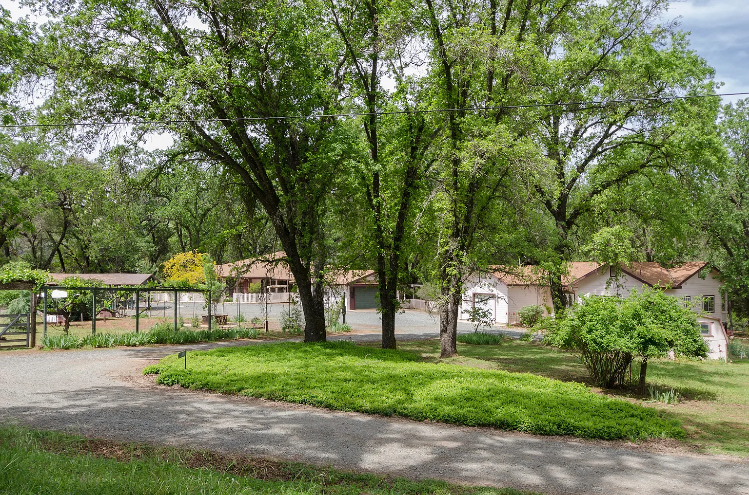 13441 Pine Gulch Ct photo 1