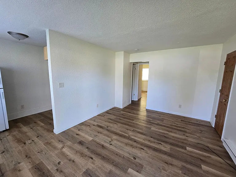 1209 E Boyton St — Photo 4