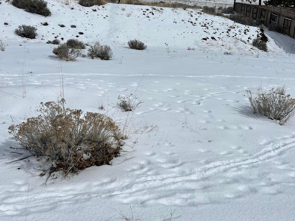 1st image of 6043 Dove Hollow Dr