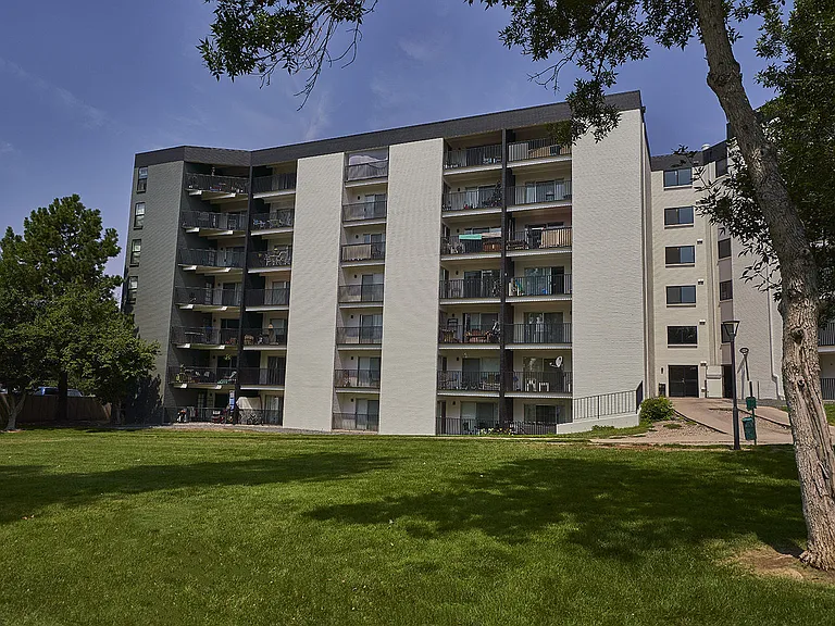 Elm at Panorama — Photo 21