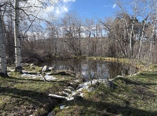 8 Buck Trl, Story, WY 82842