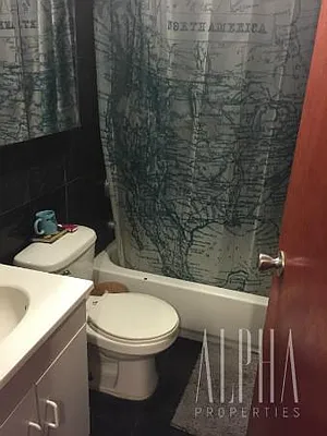 Rented by Alpha Properties NYC I LLC | media 22