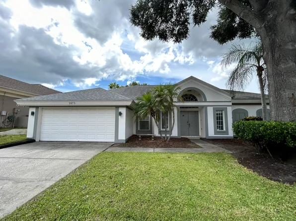 2872 Spring Oak Ct, Palm Harbor, FL 34684