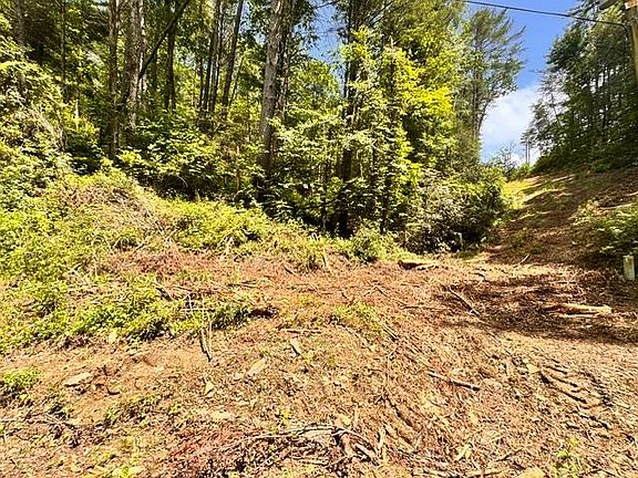 2nd image of 0 Grassy Mountain Rd