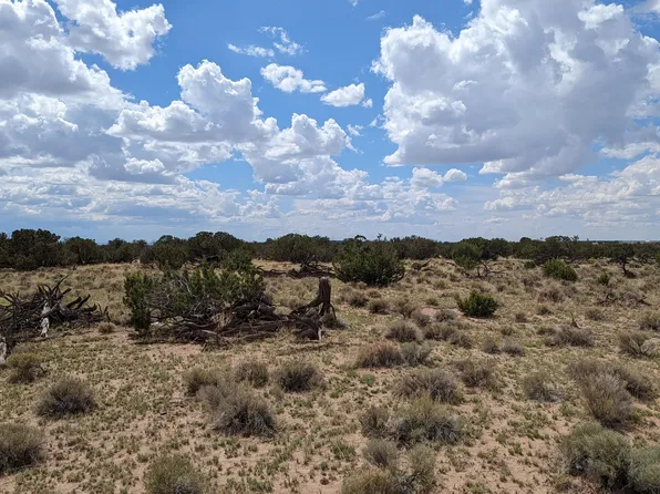 523 Woodland Valley Rnch, Saint Johns, AZ 85936