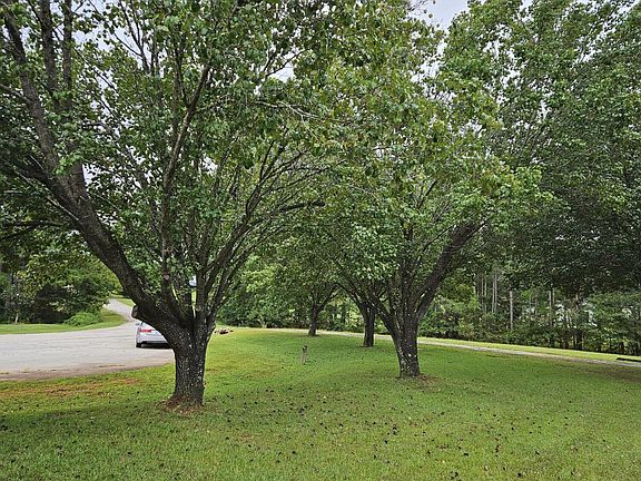 4th image of 115 Eagle Ln