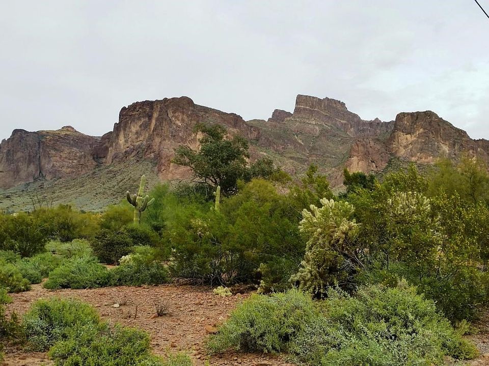 Greasewood mountain view from street