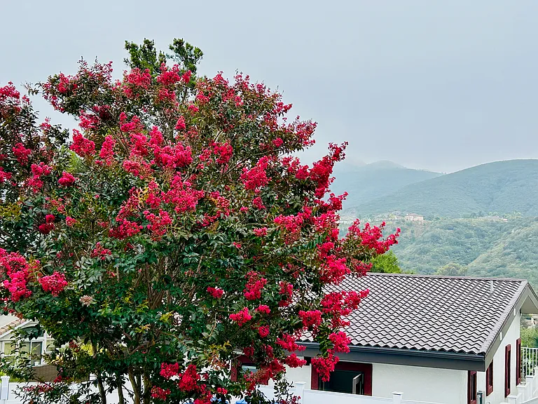 I am Beautiful! Inside and Out. Brand new 864sqft 2 bedrm/2 bath ADU with Panramic views of Twin Peaks! Modern energy efficient appliances, Solar and EV charging! Each room with its own AC/Heat