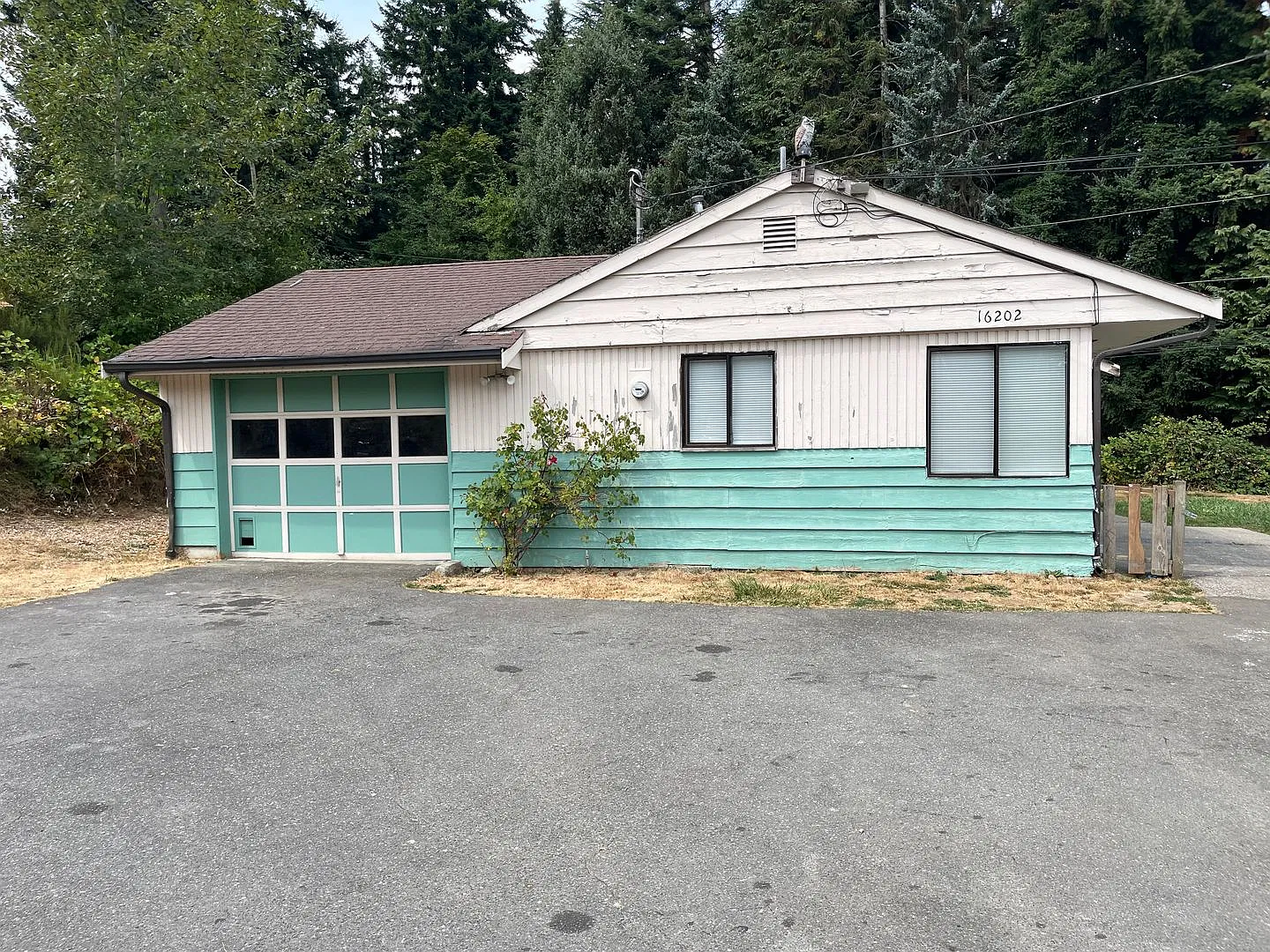 Larch Way Townhomes — Photo 4