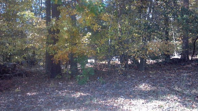 2nd image of 3268 Irvington Rd