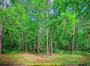 19069 Lakeshore Dr, Tyler, TX 75703