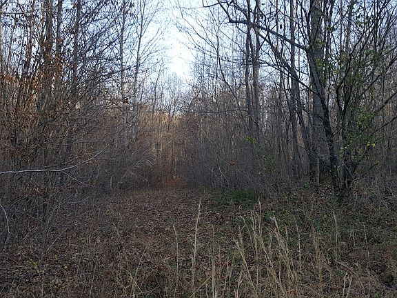 3rd image of 436 Natchez Ln