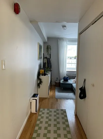 Studio, 400 sqft, $1,450 — Photo 4