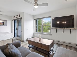 100 S Park Ave Unit W308, Breckenridge, CO 80424