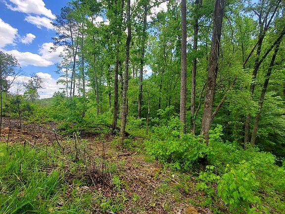 2nd image of LOT 78 Jakes Landing Overlook