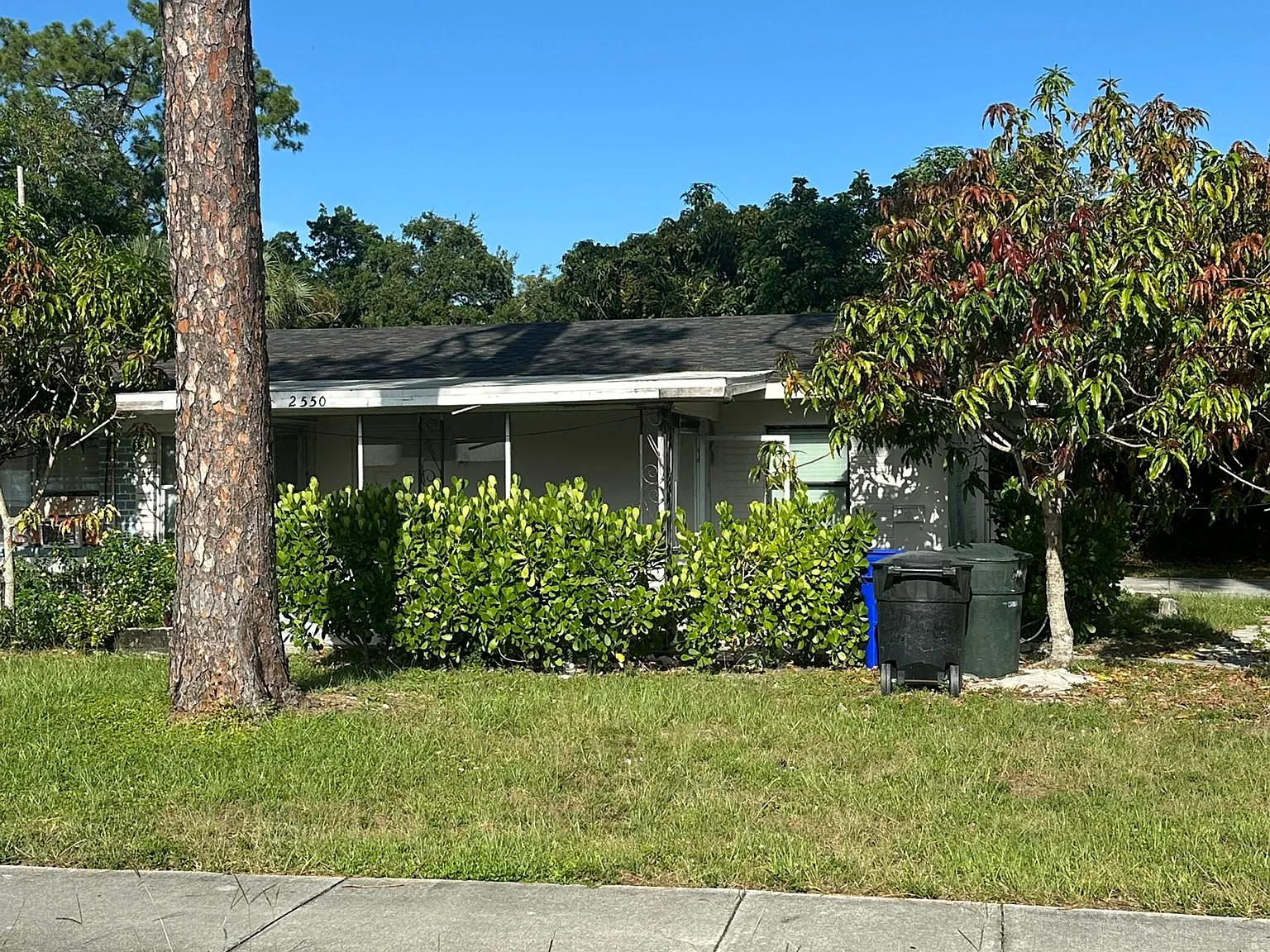 1 bed, 1110 sqft, $900 — Photo 1