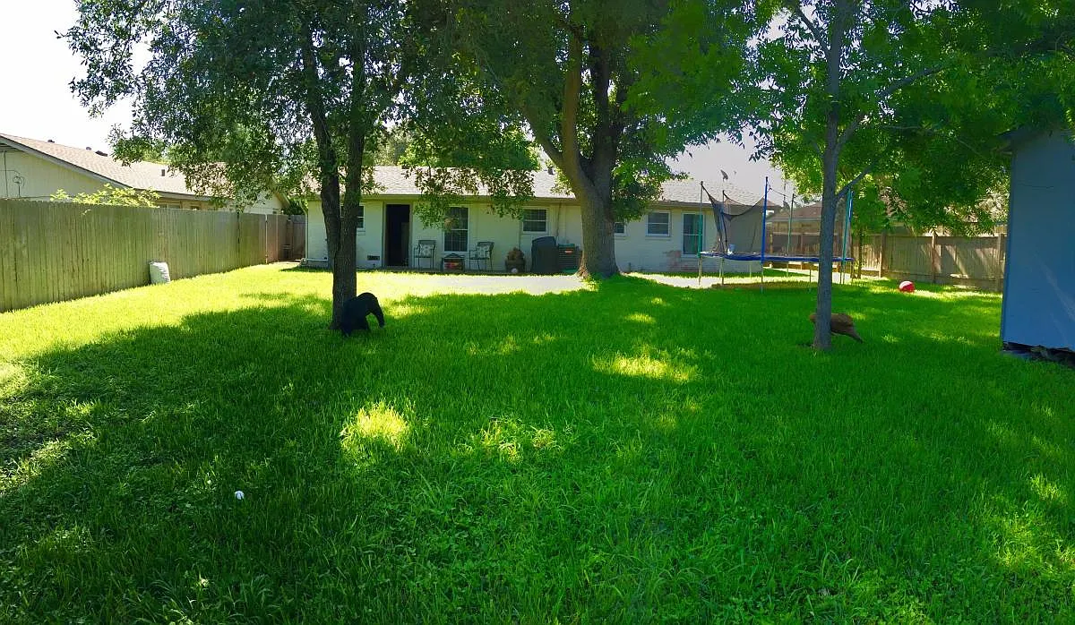 5107 Lilac Lane — Photo 3