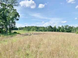 6000 Red Lick Rd, Lorman, MS 39096