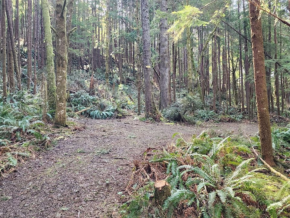 7 Xx Elk Ridge Rd, Copalis Beach, WA 98535 MLS NWM2060181 Zillow