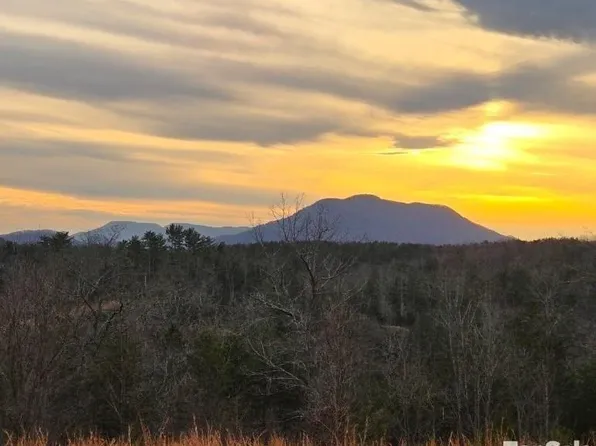1 Price Summit Way, Mill Spring, NC 28756