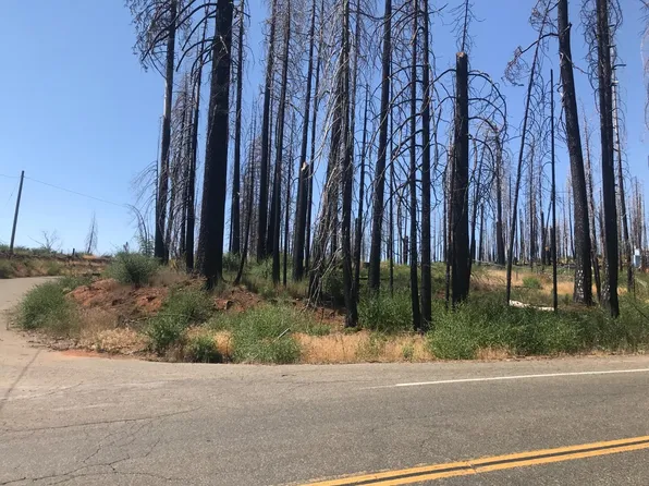 45 Rollingwood Dr, Grizzly Flats, CA 95636