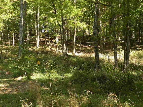 2nd image of Lot 52 Waterford Way Lot 52