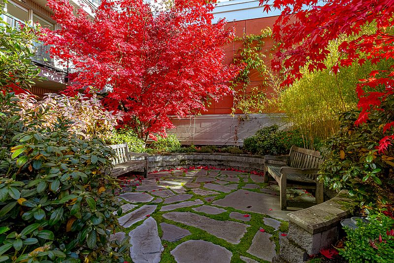 Victoria Apartment for rent - 1 Bedroom — photo 31