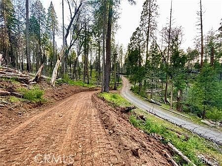 2nd image of 229 Comet Mine Rd