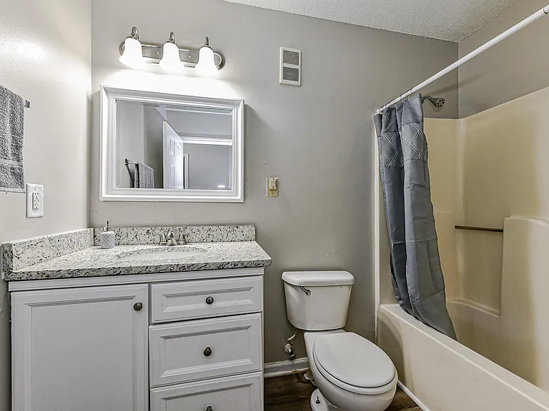225 Hoskins Mill Ln — Photo 10