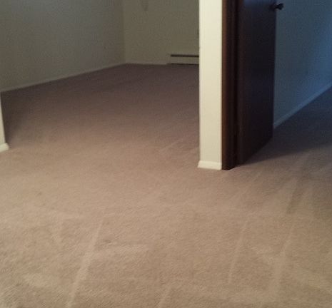 dining - living area