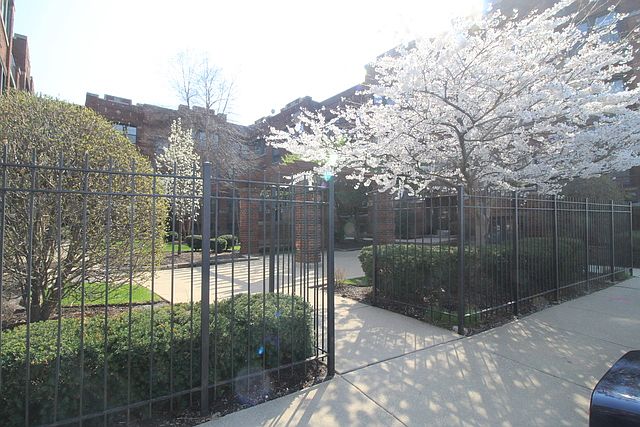 1st image of 641 Garfield St APT 1