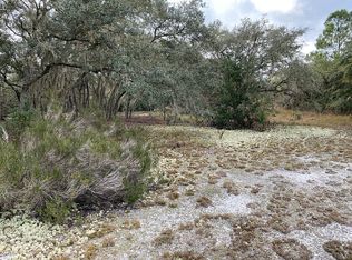 344 Drayton Island Rd, Georgetown, FL 32139