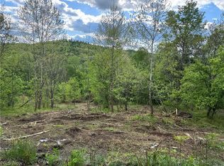 208 Easy St, Freeport, OH 43973