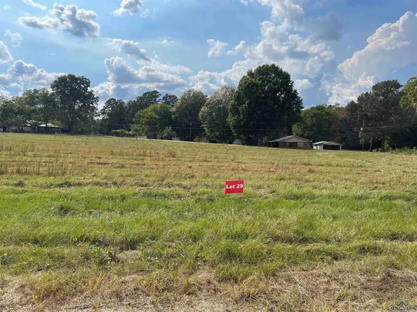 29 County Road 2204d & Dm #1797, Tatum, TX 75691