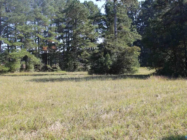 2-3 Mooresville Rd, Elkmont, AL 35620