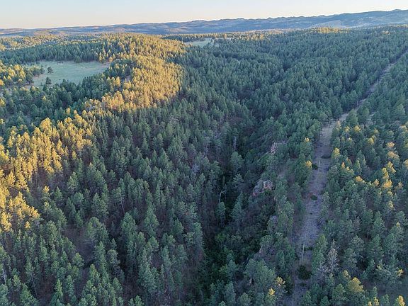 Dji Fly 20260519 194534 0170 1779297563755 Photo