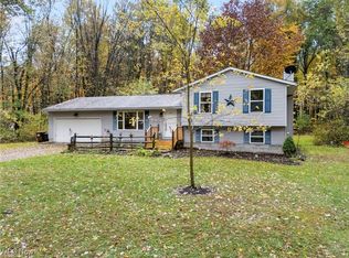 9812 Carters Ford Rd, Deerfield, OH 44411