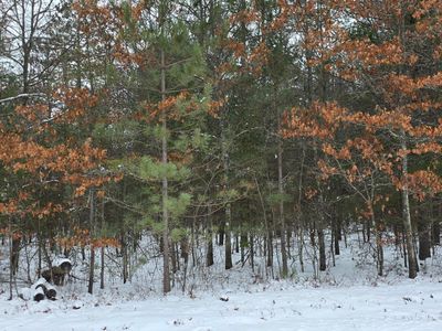Lots 8&9 Ralph Ln, Tomahawk, WI, 54487