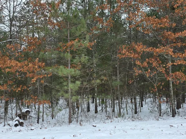 Lots 8&9 Ralph Ln, Tomahawk, WI 54487