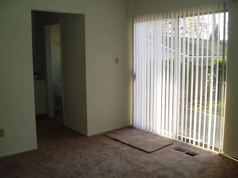 6011 Leafwood Dr — Photo 13