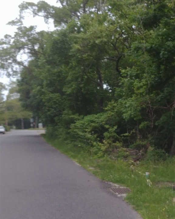 1st image of 214 W Pacific Ave