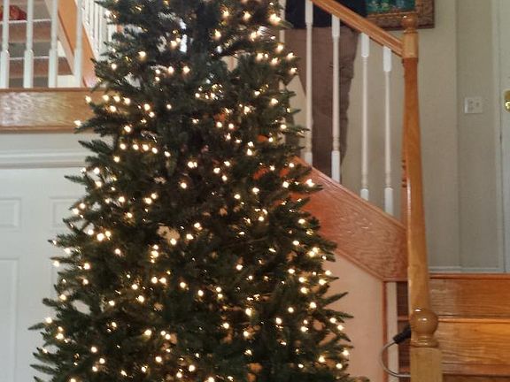 12 foot Xmas tree