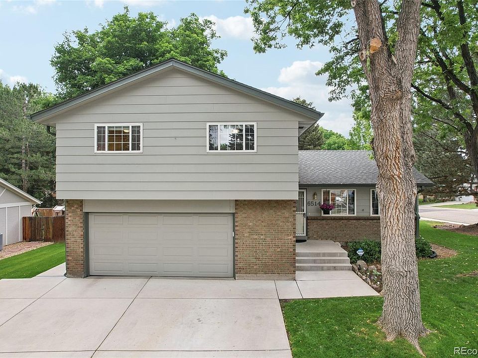  Birds　Dyynia Lord Derby's parakeet, or Derbyan parakeet | zoo-ekzo.com