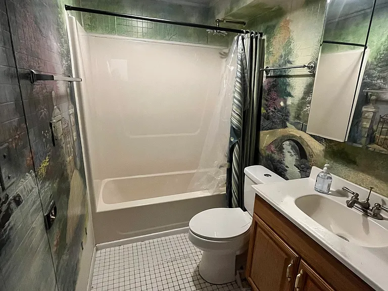 Basement Bathroom