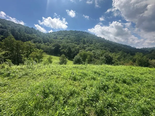 Tbd Fox Creek Rd, Mouth Of Wilson, VA 24363