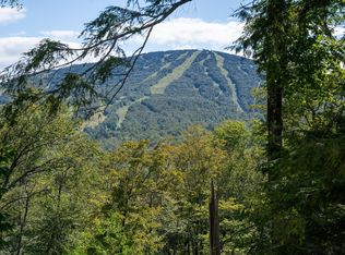 6 Moose Maple Rd, Bondville, VT 05340