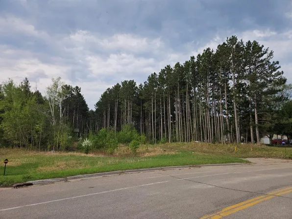17773 370th St, Bagley, MN 56621