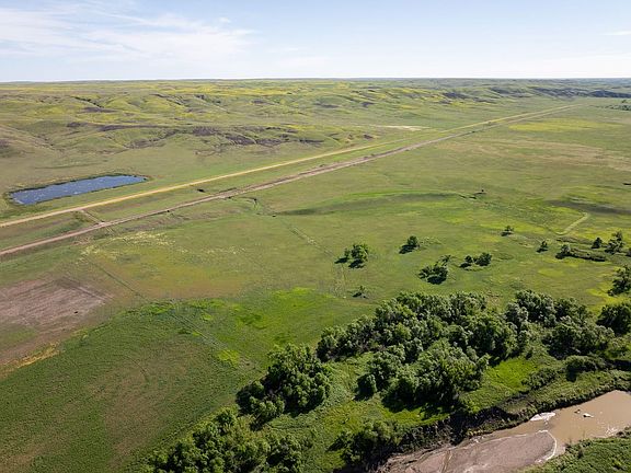 Dji 20260602093638 0062 D Talltines