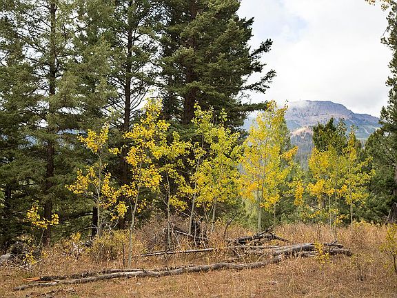 5th image of 4911 Alpenglow Way