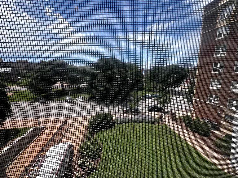 View of courtyard from main room window.